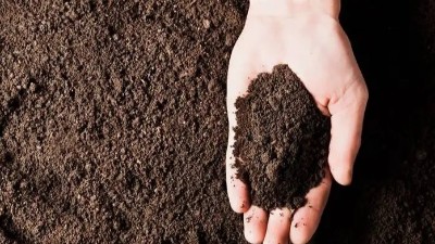 如何测量土壤pH值